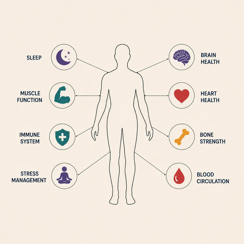 Magnesium powers 300+ functions in your body. Sleep is just the one you notice first.