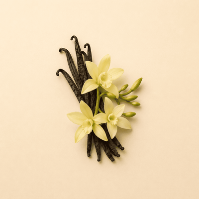 Vanilla